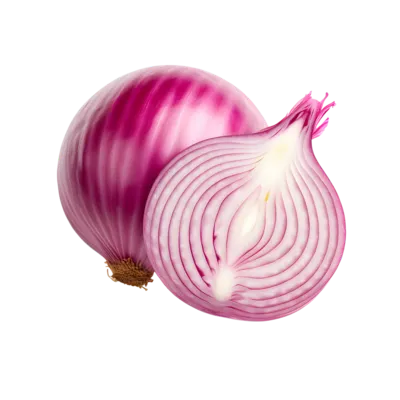 Dehydrated Onion Products